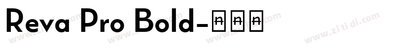 Reva Pro Bold字体转换
